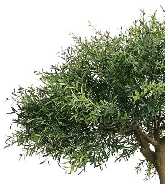 Luxury Artificial Plants for home, offices and commercial places