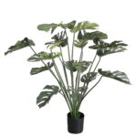 Split Philodendron Plant 1.18m height