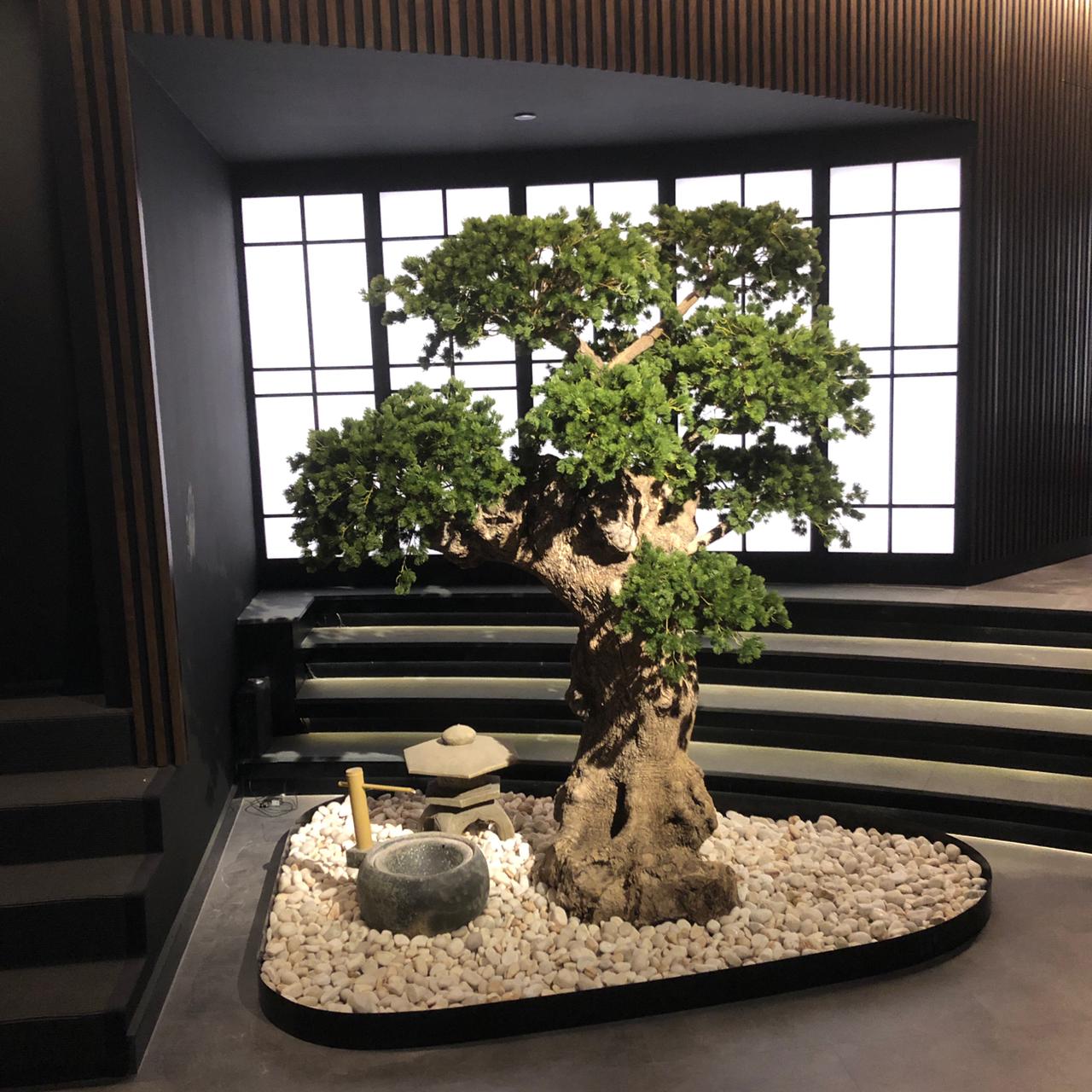 Japanese Bonsai Tree at Tomo Restaurant Shajara Projects
