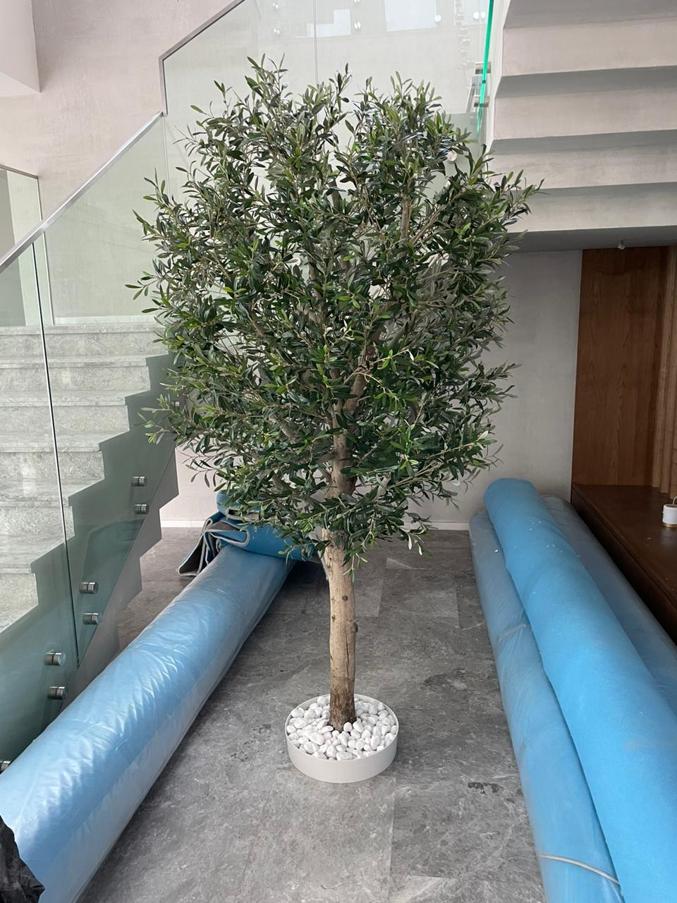 Buy Artificial Olive Tree 2.5m Online in UAE, KSA