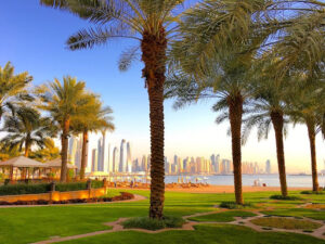 Trees in UAE