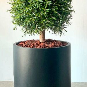 Purchase Artificial topiary trees 0.8m Online