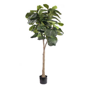 Buy Artificial Fiddle Tree 165cm