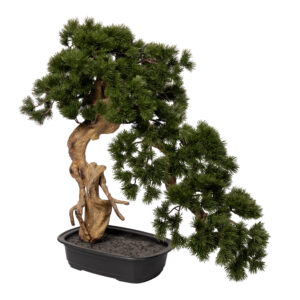 Artificial Pine Bonsai 66cm