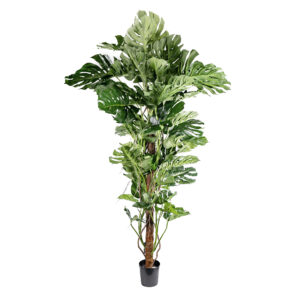 Buy Artificial Monstera on Pole 180 cm