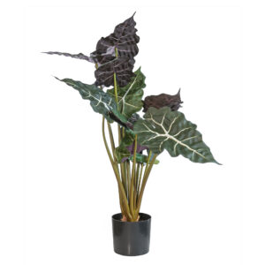 Buy Artificial Alocasia Bush 67 cm Online