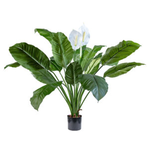 Premium Artificial Spathiphyllum King Bush 90cm