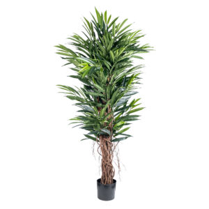 Artificial Deluxe Longifolia With Real Trunk 122cm