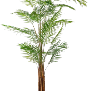 Buy Artificial Areca Palm 274cm Online