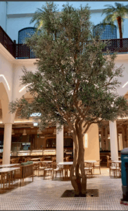Why Dubai Mall Chose Bespoke Artificial Olive Tree