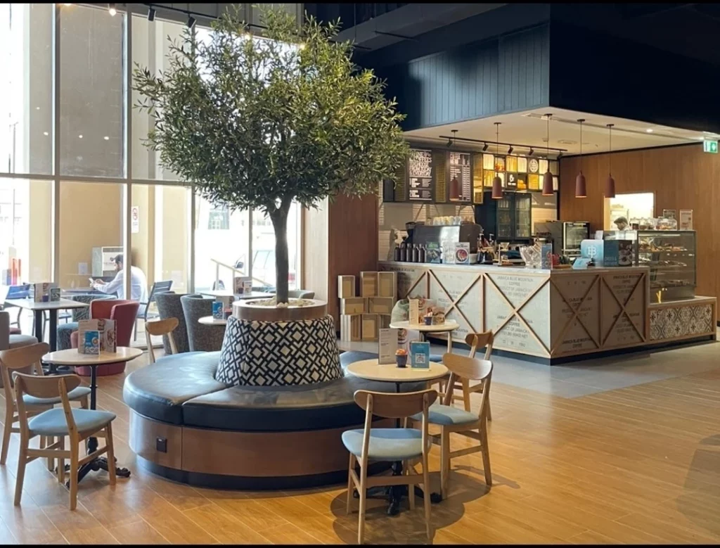 Indoor café seating encircles an artificial olive tree in a Dubai mall, illustrating artificial olive tree indoor Dubai setups.