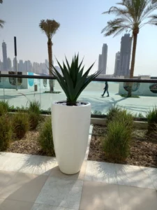 Artificial Yucca plant ideal for sunproof landscaping in KSA