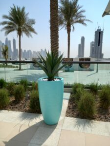 outdoor decor with heat resistant plants in UAE