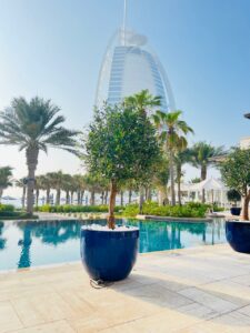 Garden design using sun resistant plants in UAE