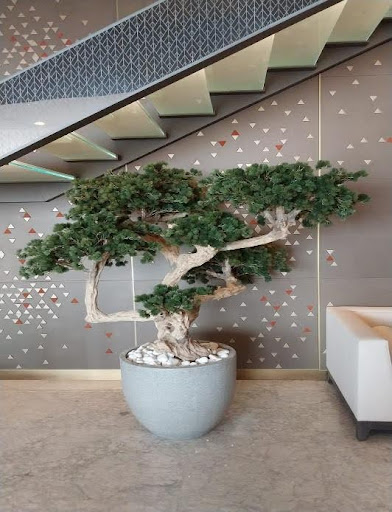 home decor indoor plants