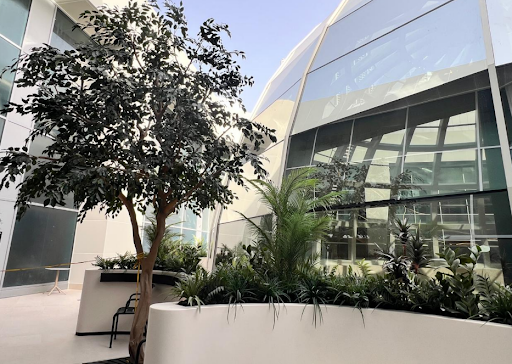 bespoke artificial ficus tress in uae gardens