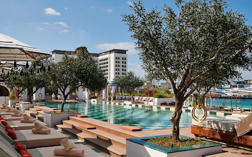 Best Semi-Artificial Outdoor Olive Trees for Poolside