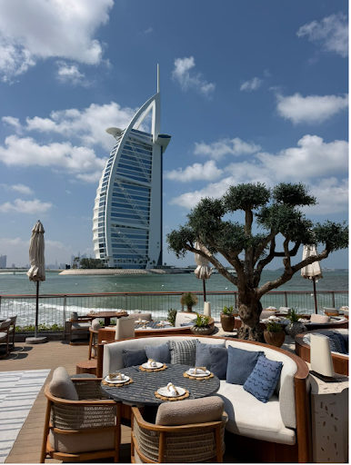 why artificial tress are taking over lanscaping in uae