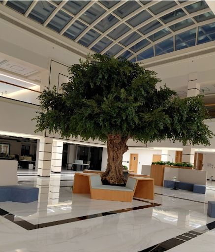 Custom Artificial Ficus Trees