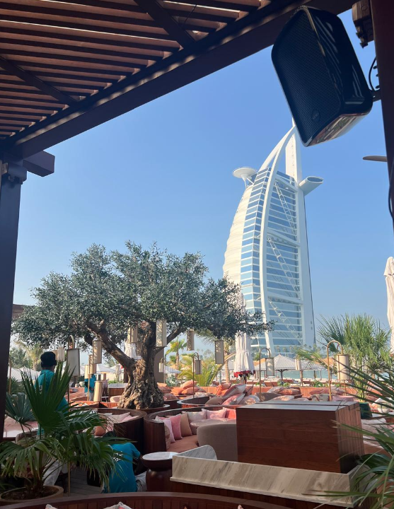 UV-Resistant Artificial Olive Trees in Dubai- Bespoke Outdoor Luxury for the UAE Climate